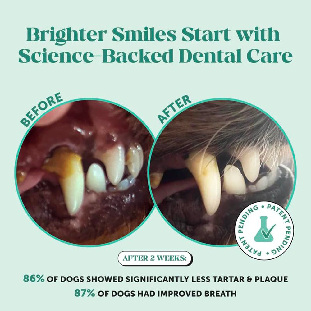 Biopups Dental Powder